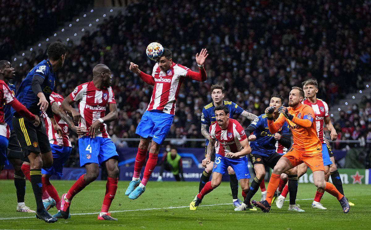 安达卢西亚西班牙马以战马天赋闻名欧洲数世纪